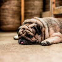 Is your organization suffering from inertia?
