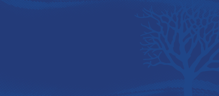 fb-big-758x334 - IMD Business School - IMD Business School