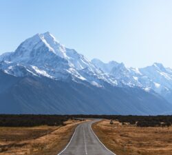 While the world trades punches, New Zealand shows the way ahead