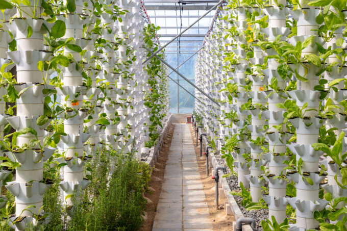 Sustainable agriculture