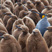Leaders under pressure 2024 trends