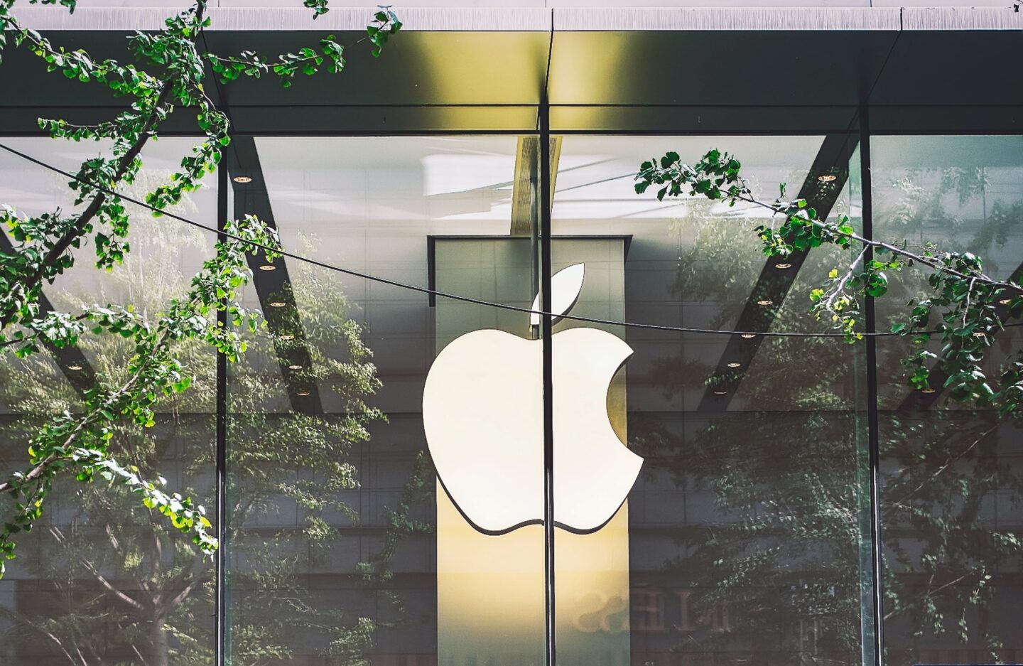 Apple Store