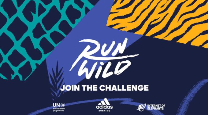 Internet of Elephants - Run WIld