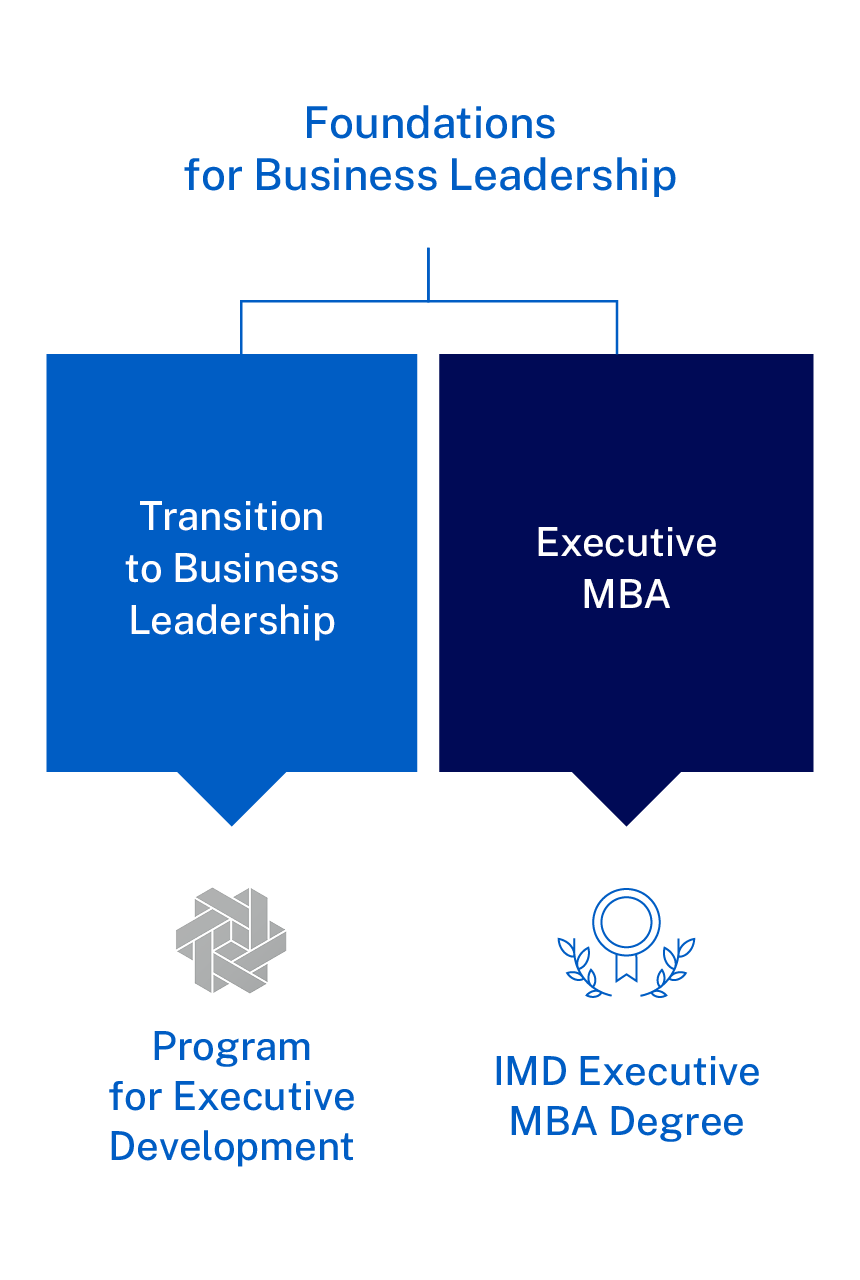 20240923-FBL-Graphic-Journey-Small-430x640 1 x2 - IMD Business School - IMD Business School